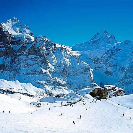 Hostel Berggasthaus First - Only Accessible By Cable Car Grindelwald