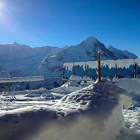 Berggasthaus First - Only Accessible By Cable Car Hostel Grindelwald