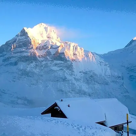 Berggasthaus First - Only Accessible By Cable Car Hostel Grindelwald