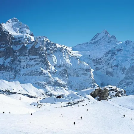 Hostel Berggasthaus First - Only Accessible By Cable Car