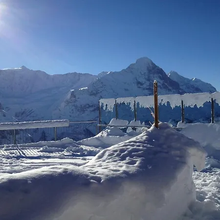 旅馆 Berggasthaus First - Only Accessible By Cable Car