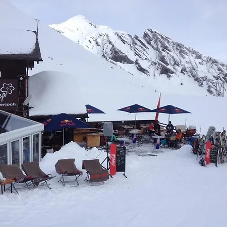 Berggasthaus First - Only Accessible By Cable Car 旅馆 格林德瓦