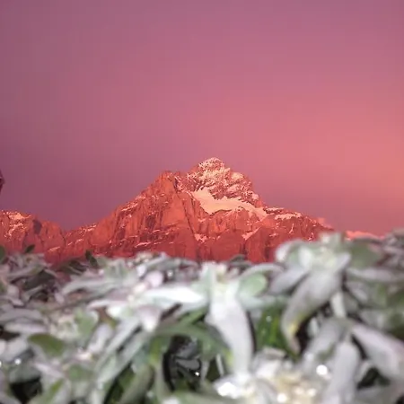 Berggasthaus First - Only Accessible By Cable Car 旅馆 格林德瓦