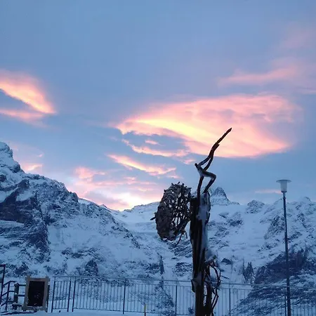 Berggasthaus First - Only Accessible By Cable Car 旅馆