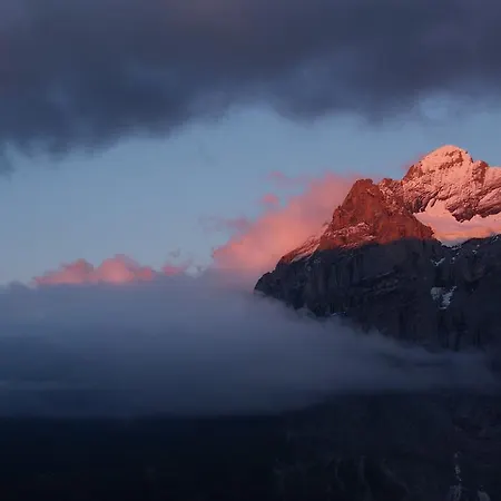 Berggasthaus First - Only Accessible By Cable Car 旅馆