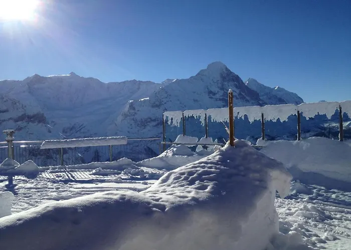 Hostel Berggasthaus First - Only Accessible By Cable Car