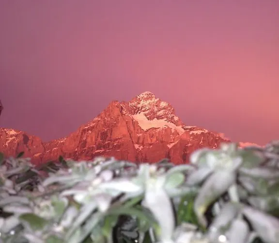 Berggasthaus First Hostel Grindelwald