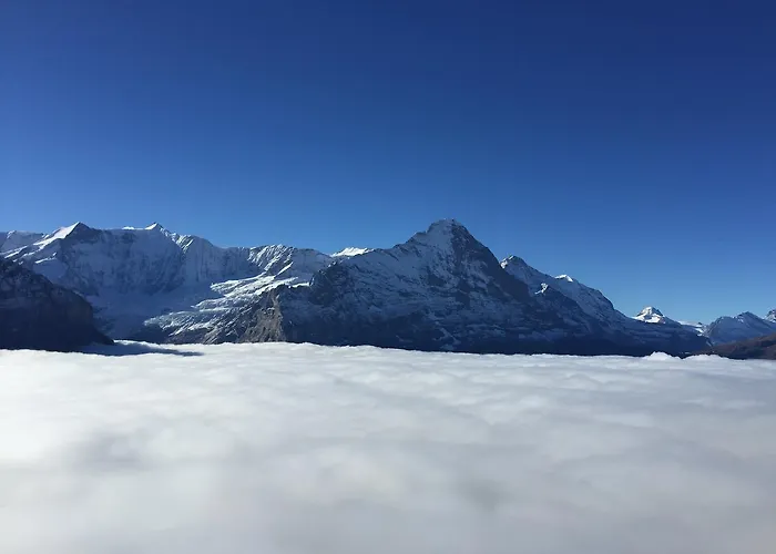 Berggasthaus First Grindelwald