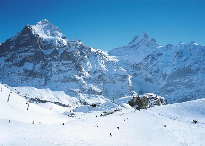Hostel Berggasthaus First - Only Accessible By Cable Car