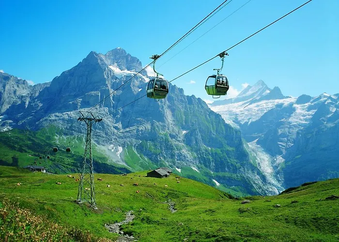 Berggasthaus First - Only Accessible By Cable Car Hostel Γκρίντελβαλντ