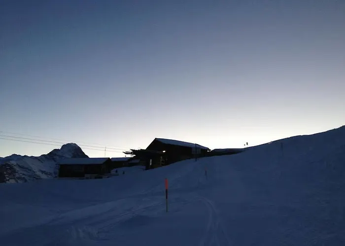 Berggasthaus First - Only Accessible By Cable Car Γκρίντελβαλντ