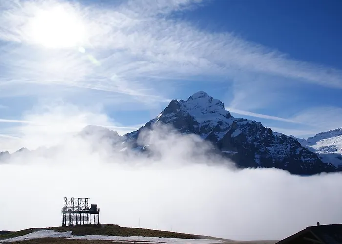 Berggasthaus First - Only Accessible By Cable Car Γκρίντελβαλντ